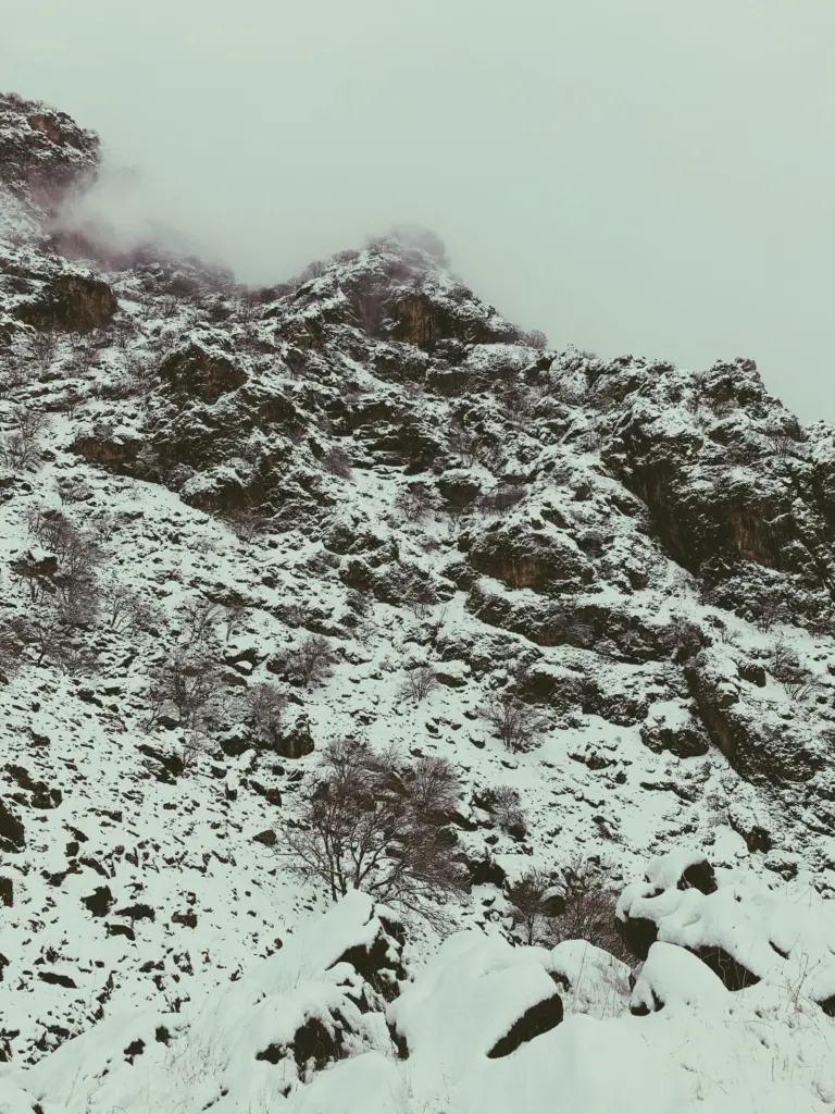 Cup of herbal tea with loose dried herbs on a wooden tray